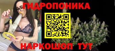 стаф Гусиноозёрск