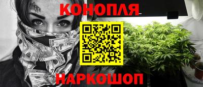 стаф Гусев