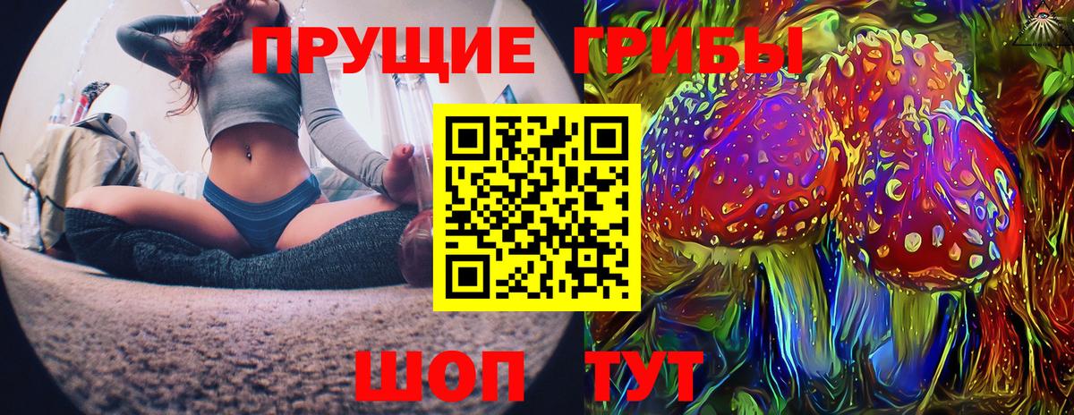 Куйбышев  Псилоцибиновые грибы мицелий  Вход с VPN 
