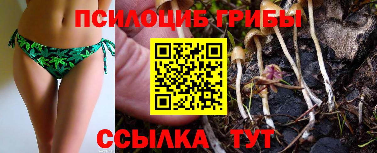 Галлюциногенные грибы мухоморы Куйбышев